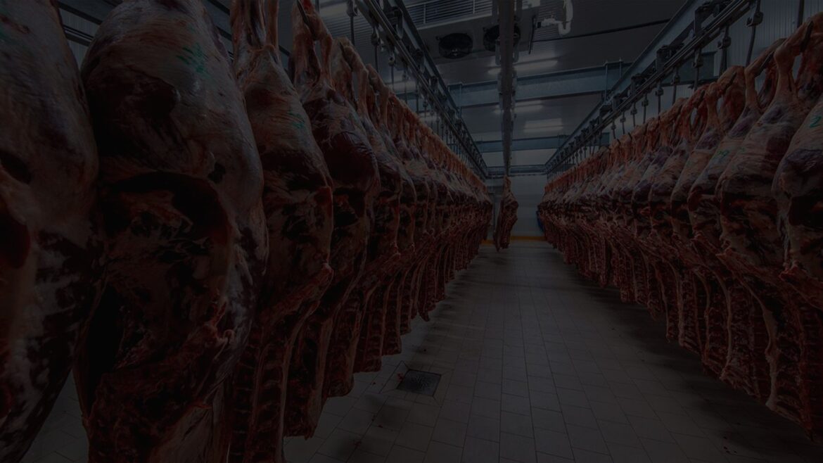 Meat