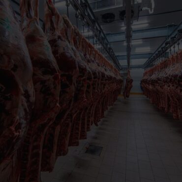 Meat