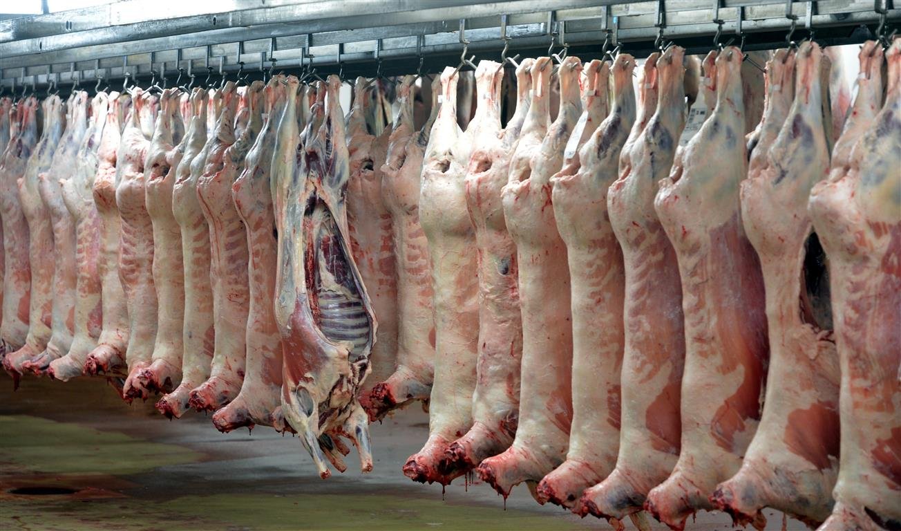 mutton