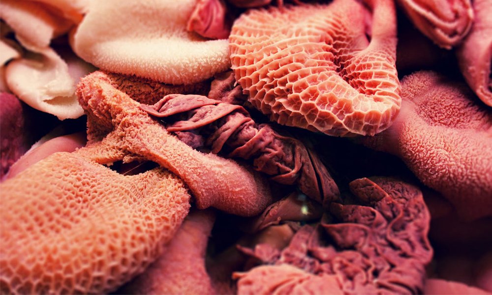 offal